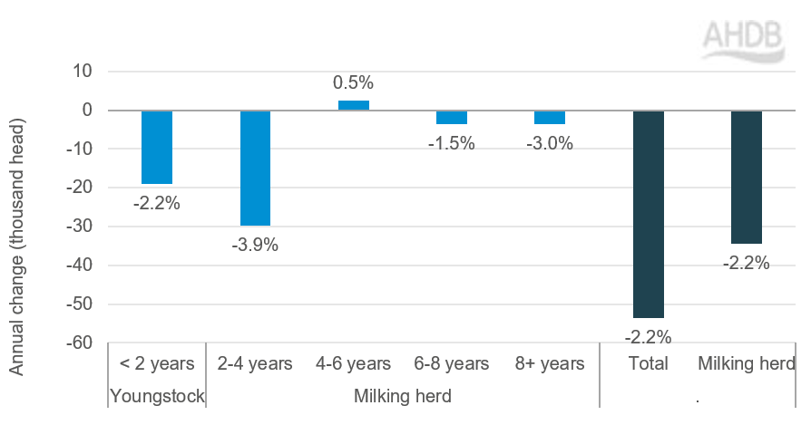 A bar chart showing the changes in numbers of each age of dairy animal.
